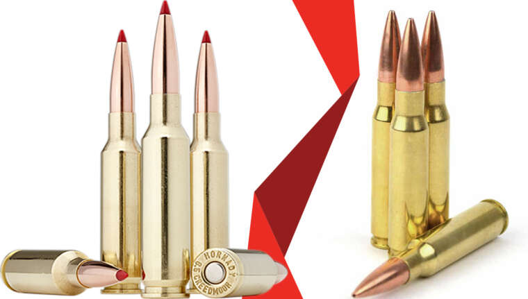 6.5 Creedmoor vs .308 Winchester – Which Is Better? - NAAGA